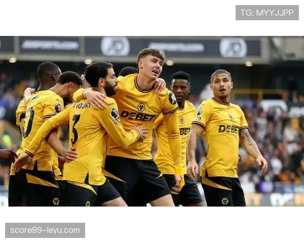 狼队冬窗积极引援,全力补强阵容谋求赛季反弹 狼队冬窗积极引援,全力补强阵容谋求赛季反弹